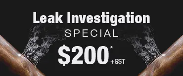 Leak Investigation Discount Āwhitu